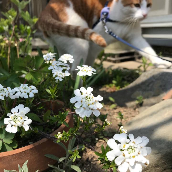 8eb98432 c565 4f56 9b84 a788cb08f872 1524272541460