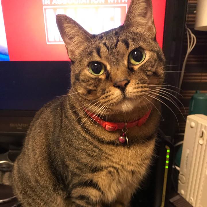 8eb98e1a 625a 4fb9 a2c8 e2389c8439b4 1540817415278