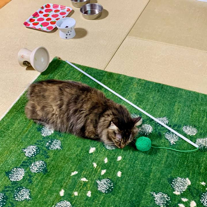 8eb9900f 67f7 4de4 aa21 d8f7145887e4 1658563785824