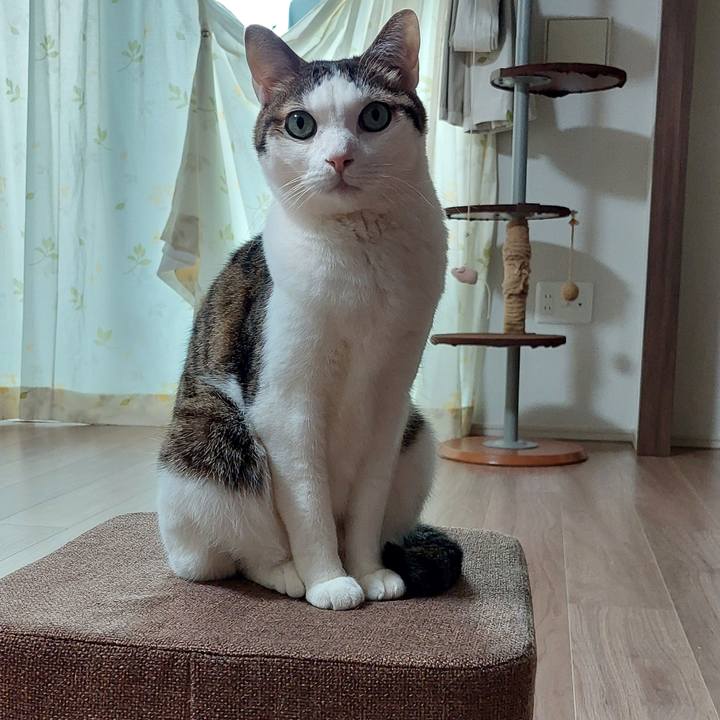 8eb99280 b9c9 4ace 9d55 7cab2d4be41e 1747086407722