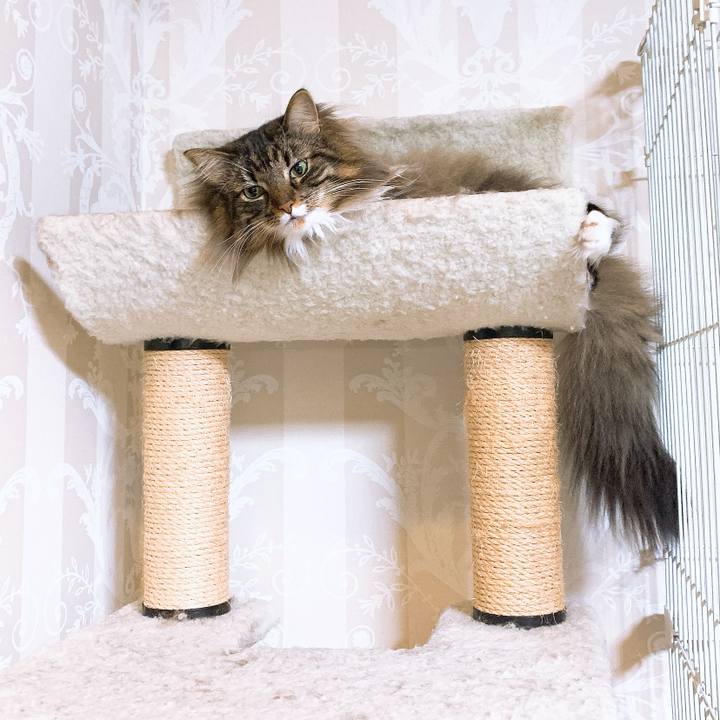 8eb9ce56 6cf1 4e3a aa35 14f7ed093da3 1572692546508