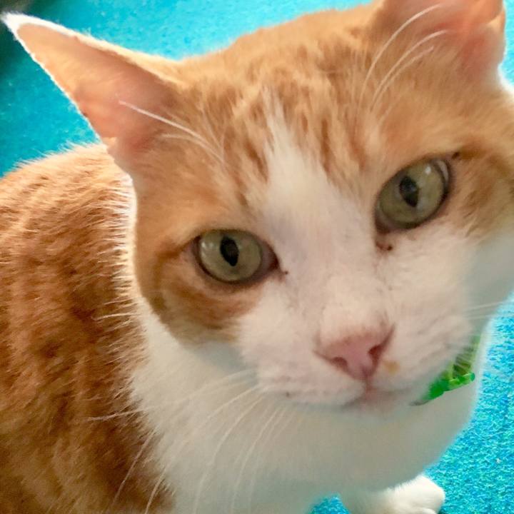 8eb9f8e3 99f6 4761 93db d9a4e4f1b551 1555364740436