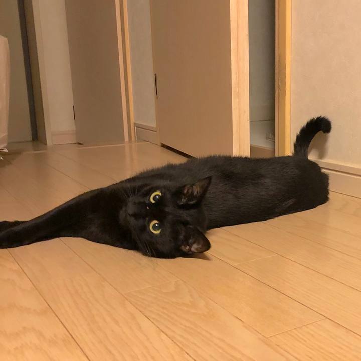 8eb9fd70 8f30 4326 85d6 f726d5d90ac6 1557497280960