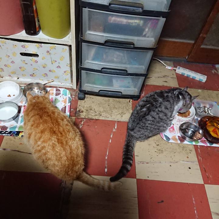 8eba16de 839b 4c36 a759 f73d83466ba6 1588711032301