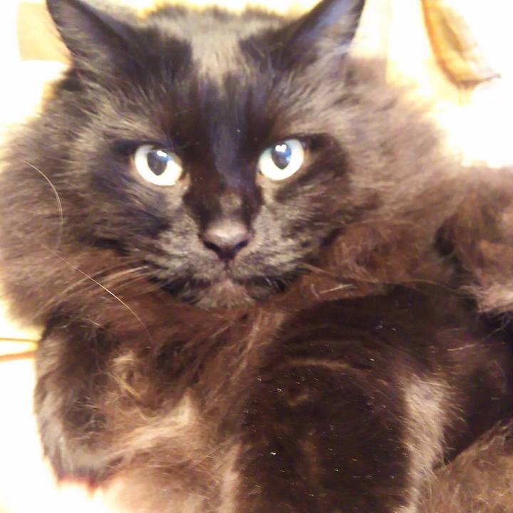 8eba2ea2 bd64 4992 b9b9 1a642b40bc32 1545519630856