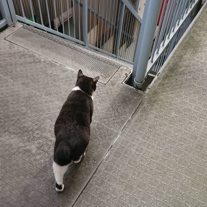 8eba4b0b b4ca 449f 80cf efd357b6d608 1536794302136