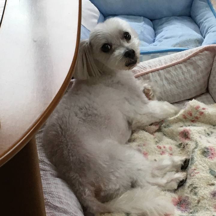 8eba6012 d0b0 4c2c b137 0ac04d57c218 1595750926755