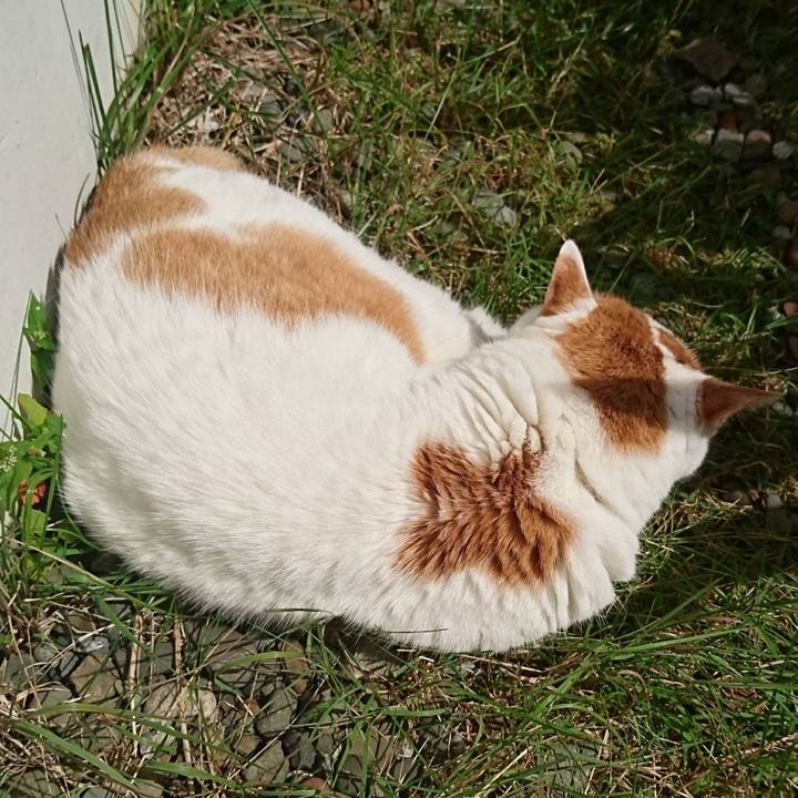 8eba6d98 ab73 4ecc 95fe fa2b633628c9 1660443906336