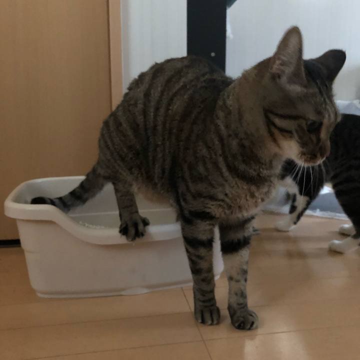 8eba74cc 2cb6 40e4 9d7f 6ffb14ac6e9d 1564171433717