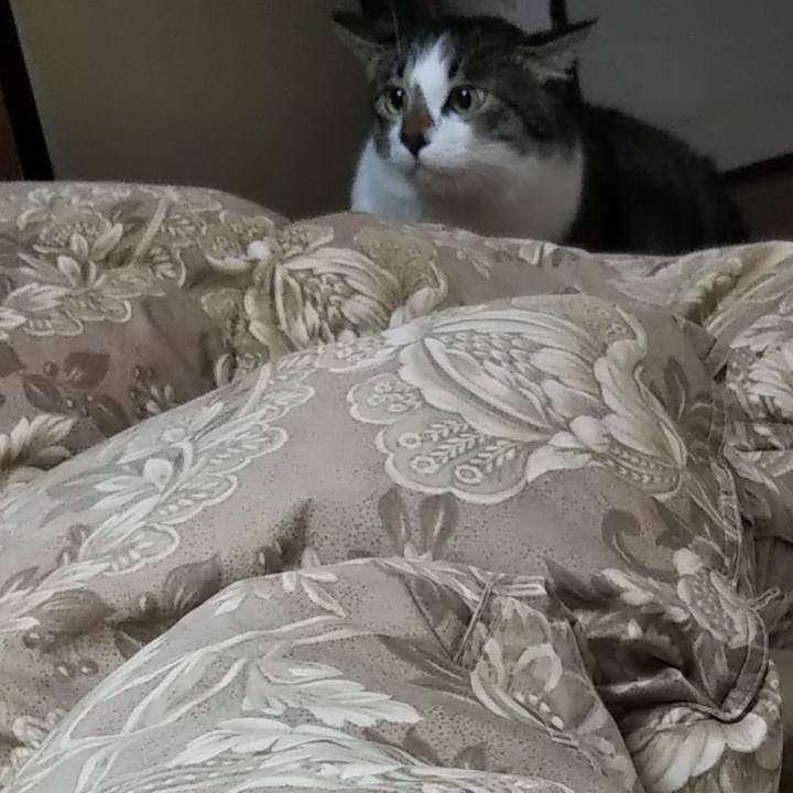 8eba8a90 e216 46e5 9da6 8c7155d9ebc3 1613061406660