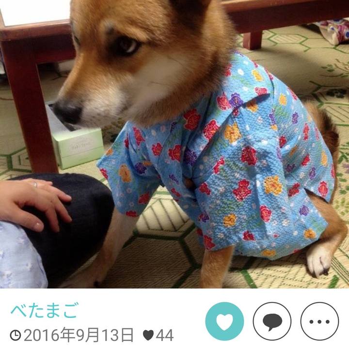 8ebaef09 8080 4b10 b2f4 05d9179956fc 1652228402016