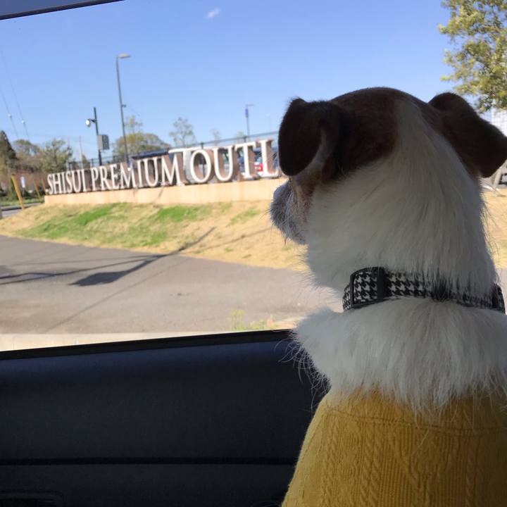 8ebb05e2 ada2 43f8 82cd 58019dd6a1f5 1553164372925