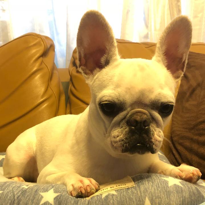 8ebb08a5 455e 467e 8b51 71c19f06c3fd 1537170027365