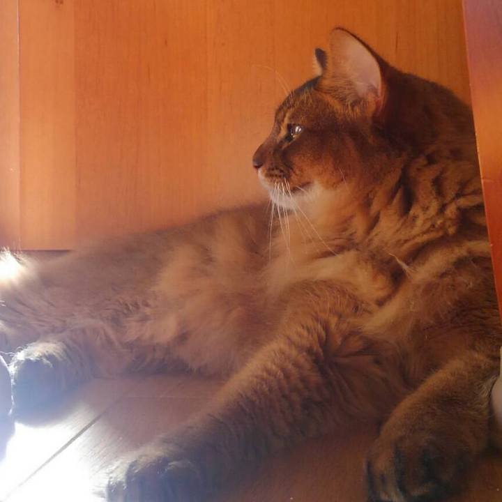 8ebb439a cafc 46c8 b409 a5e7fd904df6 1601251632096