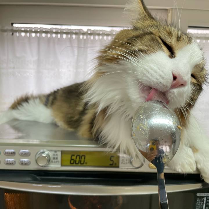 8ebb8476 b47a 4221 bc9e c053e10e364b 1654980985697