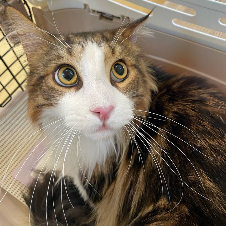 8ebb991e 029e 4469 bc87 a74f1d73a0ea 1657527812427