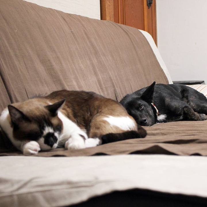 8ebbbff9 f626 4f4c 90af c7eaa1ddd171 1508235253453