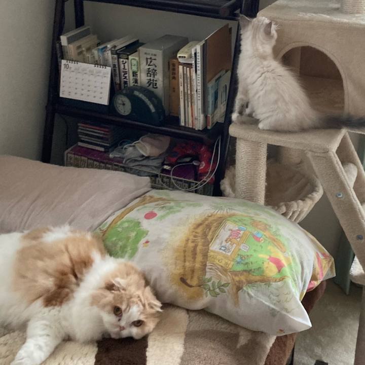 8ebc008d 3639 4ce2 b643 88078605e74c 1666617907487