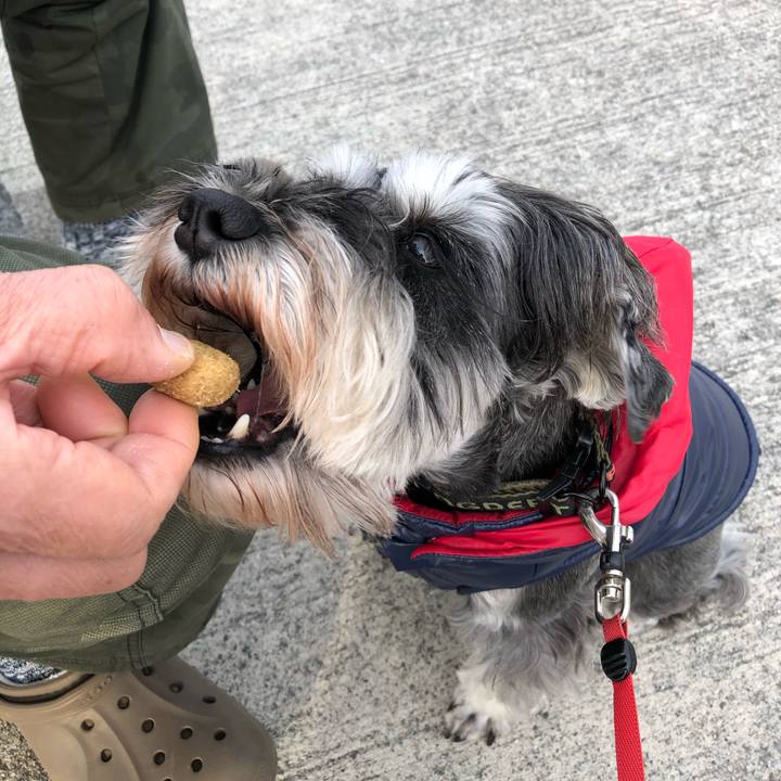 8ebc00cb 37e4 4789 8ade d0f4d1132f71 1609236186406