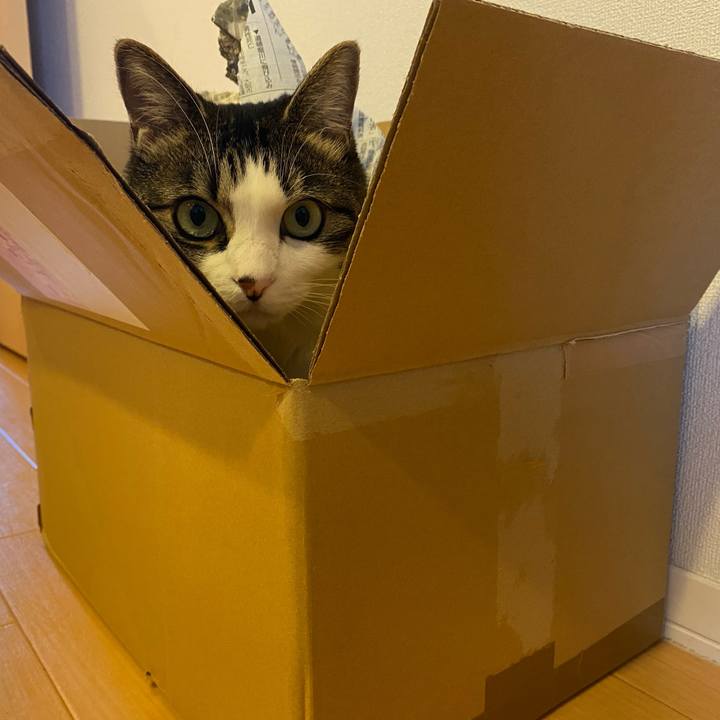 8ebc1ba1 b2c5 420c af00 8e456ee2e9cd 1639353163699