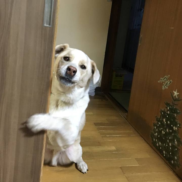 8ebc48eb 0d32 4b6e 82aa f3d0827a56cb 1514102317850