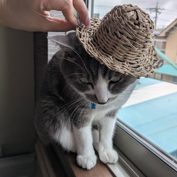 8ebc5aa8 f676 4402 877d beeed578b422 1752633299053