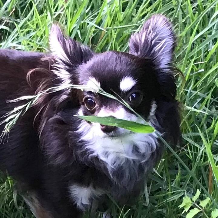 8ebc633e fb26 4ec7 a072 5f10c6da4529 1527408027644