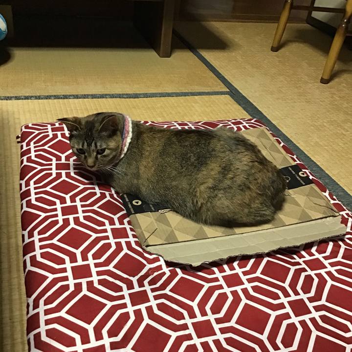 8ebca369 76c9 4fda 867a ab26aebb2830 1625192168695