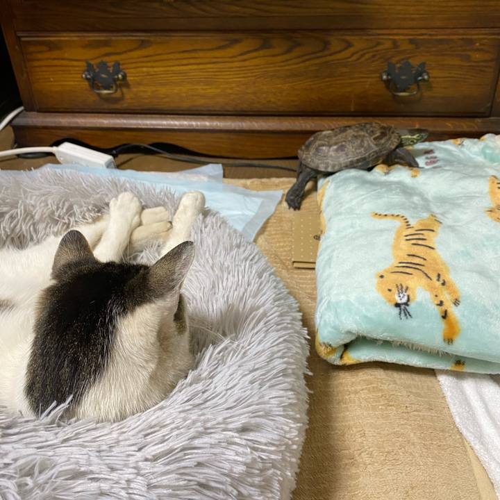 8ebcc9b4 ffb1 4af0 ac7d 38842b6338e1 1618747776089