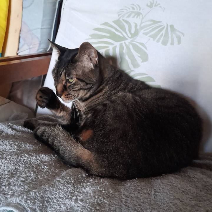 8ebcd191 cd98 4616 9d6d 65af7515a60d 1755915938331