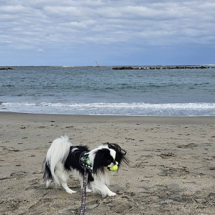 8ebce6df b8a9 45ee 87aa b73809dad38c 1729743661869