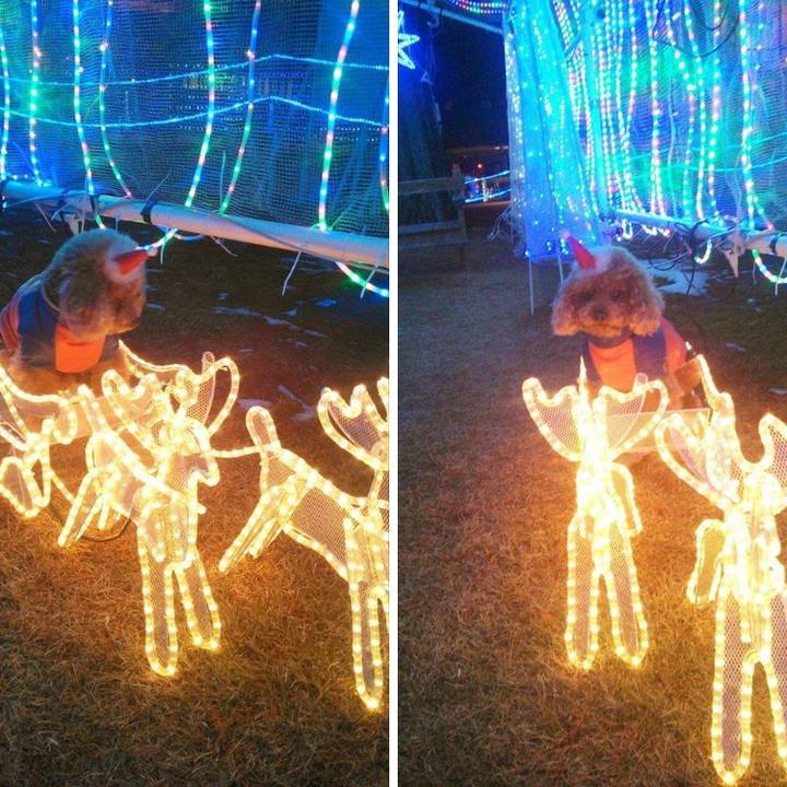 8ebd0911 ded9 4279 a776 918f4892c95a 1577151140054