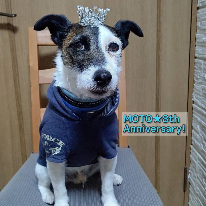 8ebd0f7d 8c6c 4f0d 8ef5 d47befc84029 1706618421912