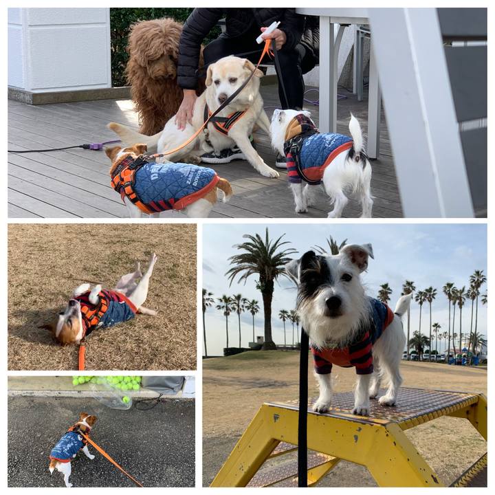 8ebd14ff a337 4b9e 9a29 df7a83f7dbac 1578713268139