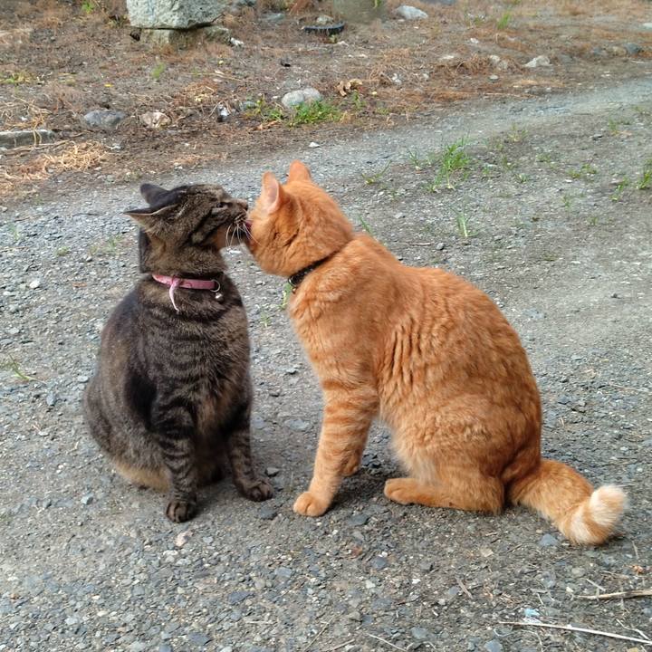 8ebd2641 b4b3 4087 bfac 20e48fc6879d 1724371908794