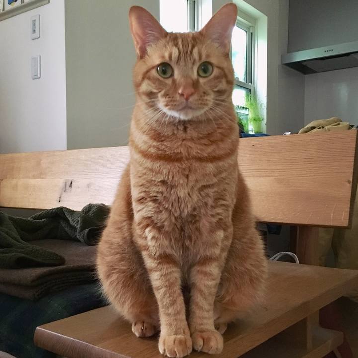 8ebd69bb 0ee3 4d88 996a 7044d6ab4f77 1526252182034