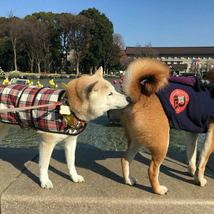 8ebd9eec 87bc 47fc 83a5 69a97a0378ee 1516525543004