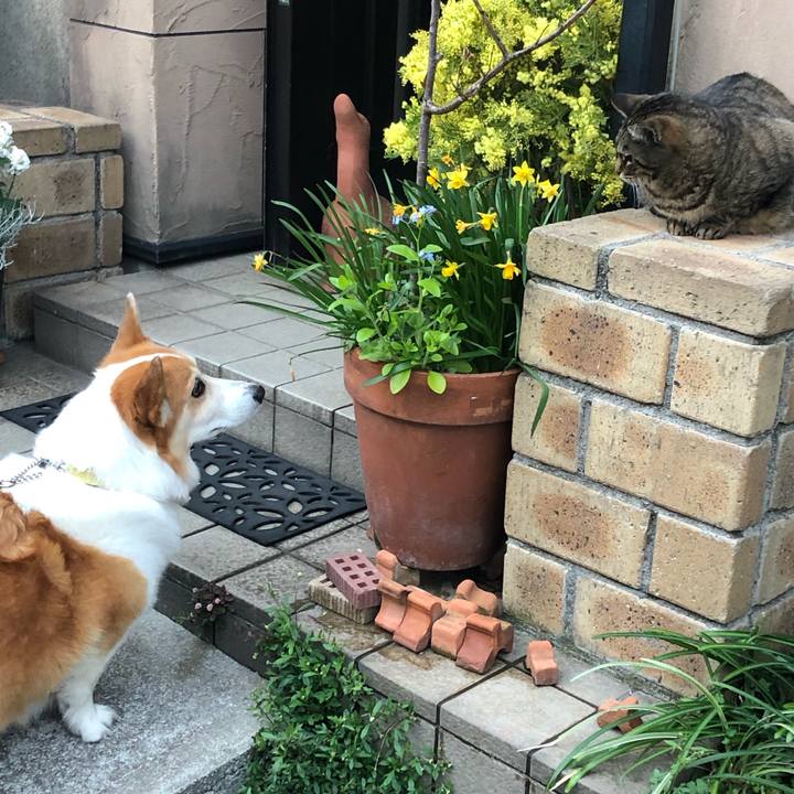 8ebdcd54 7c2a 4ba9 9340 8eaf9c71699f 1584611837212