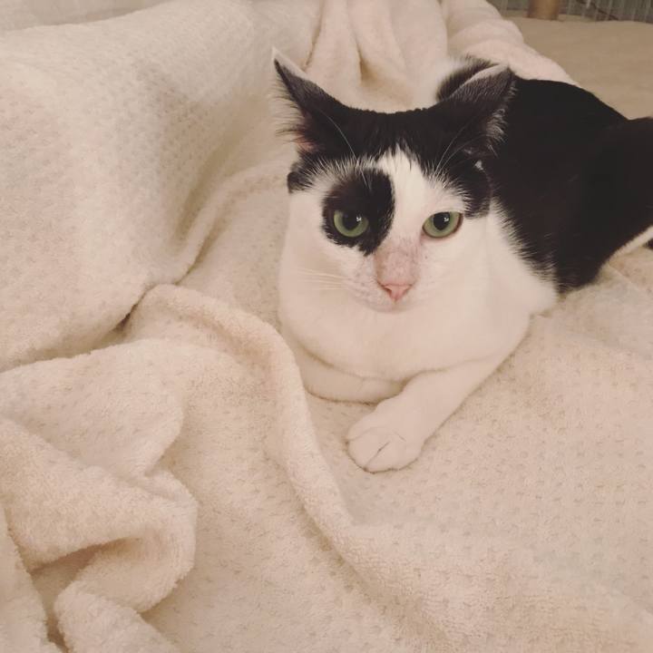 8ebdd6e3 a97f 45c1 a5f9 82d9d2be9807 1536503903697