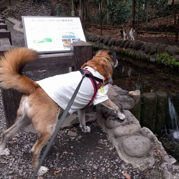 8ebe04f6 bf6c 4e2c adbb 0f35db8d26bf 1516580727070