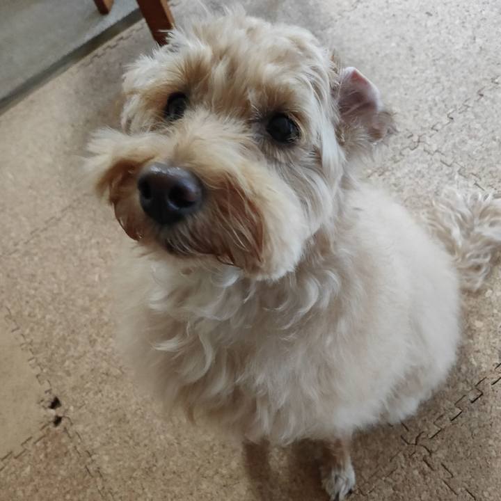 8ebe27f1 66bd 4b78 b399 8d5f056e3ef2 1600582567501