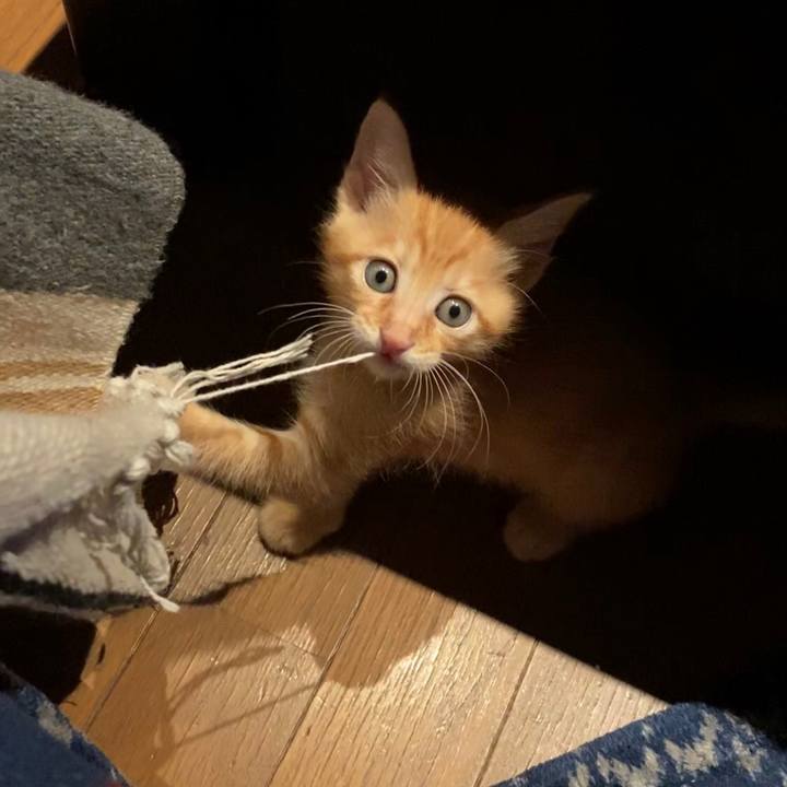 8ebe4006 6309 48ef 825d f3e7ef952fe3 1571877239738