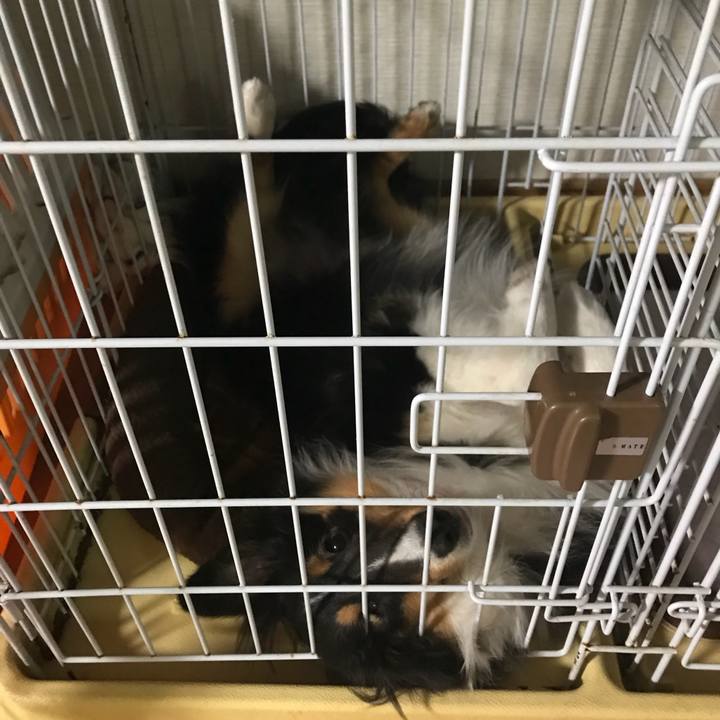 8ebecc6a 1091 4d23 8f6b ae6955e12ed7 1520200484433