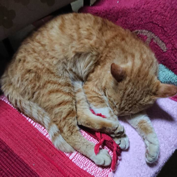 8ebf0e11 85ab 43e9 980c 1dc8e179387e 1554114507769