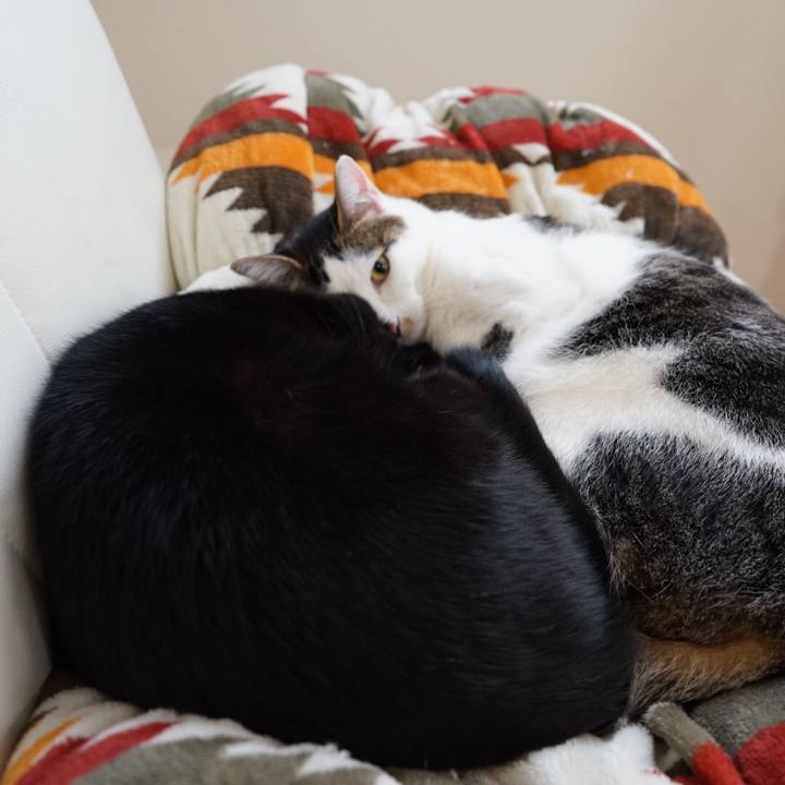 8ebf109c e71d 4334 a9cd 2ad5b65e149f 1543211050398