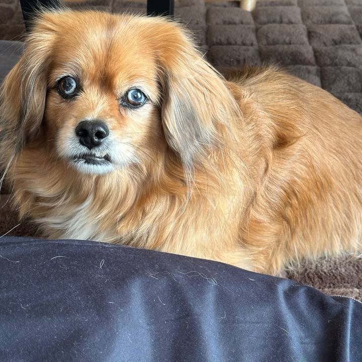 8ebf37f8 02b3 4f6e be5b f4fda6bdcc80 1740365717501