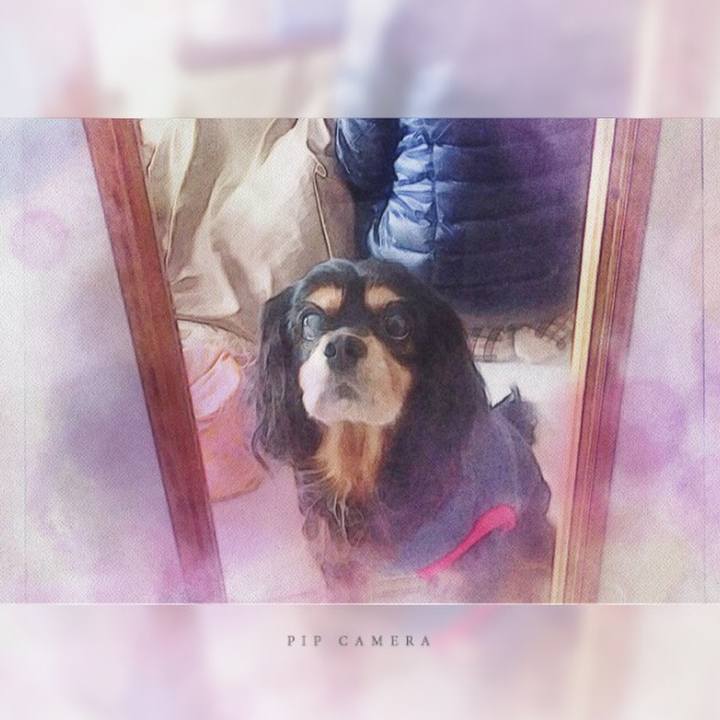 8ebf5447 7978 4dd1 8ddf 8b3e5cad5e2e 1511866526974