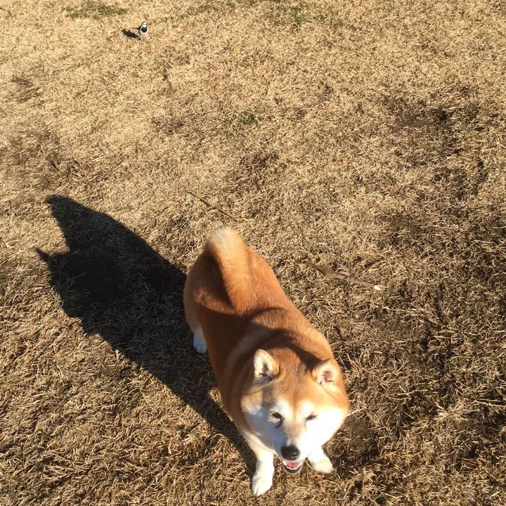 8ebf80ff a155 4e42 b140 b7011d2d63a9 1640204372263