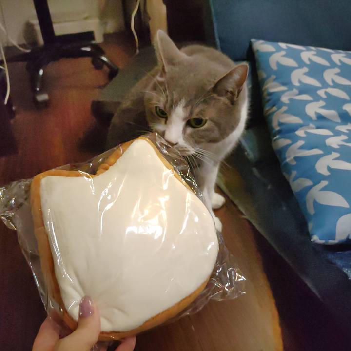 8ebf87a8 b7b2 435d 981c 7f2bcf9c48db 1722855745052