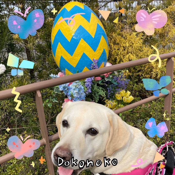 8ebf8f4d caae 45c8 9417 d0ce760c138c 1710992012734